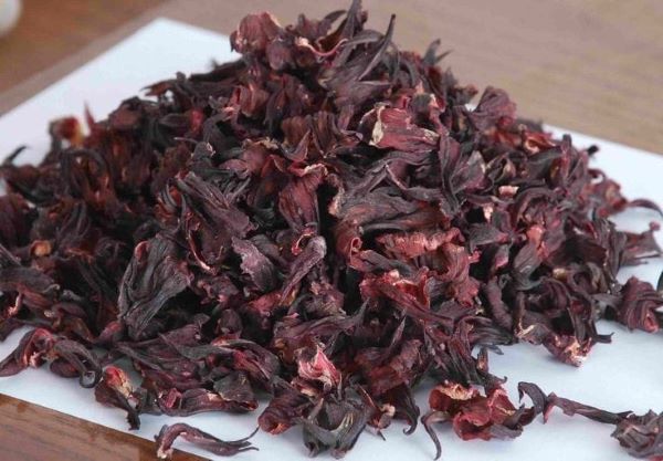 Sudanese hibiscus