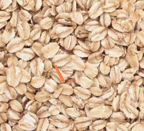 Oats