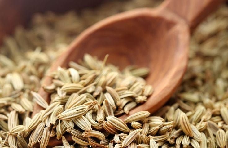 Fennel