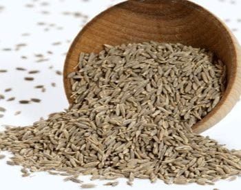 Caraway