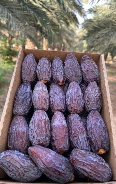 Egyptian medjool dates 1 kg