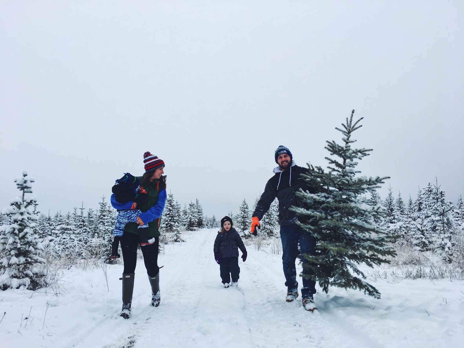 Photo of Green Bluff Tree Farm