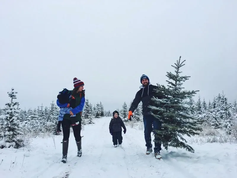 Green Bluff Tree Farm
