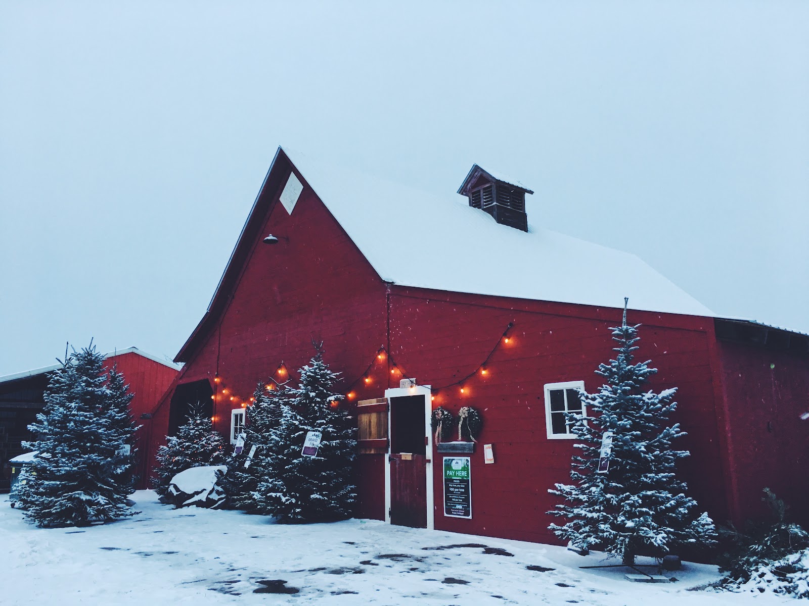 Photo of Green Bluff Tree Farm