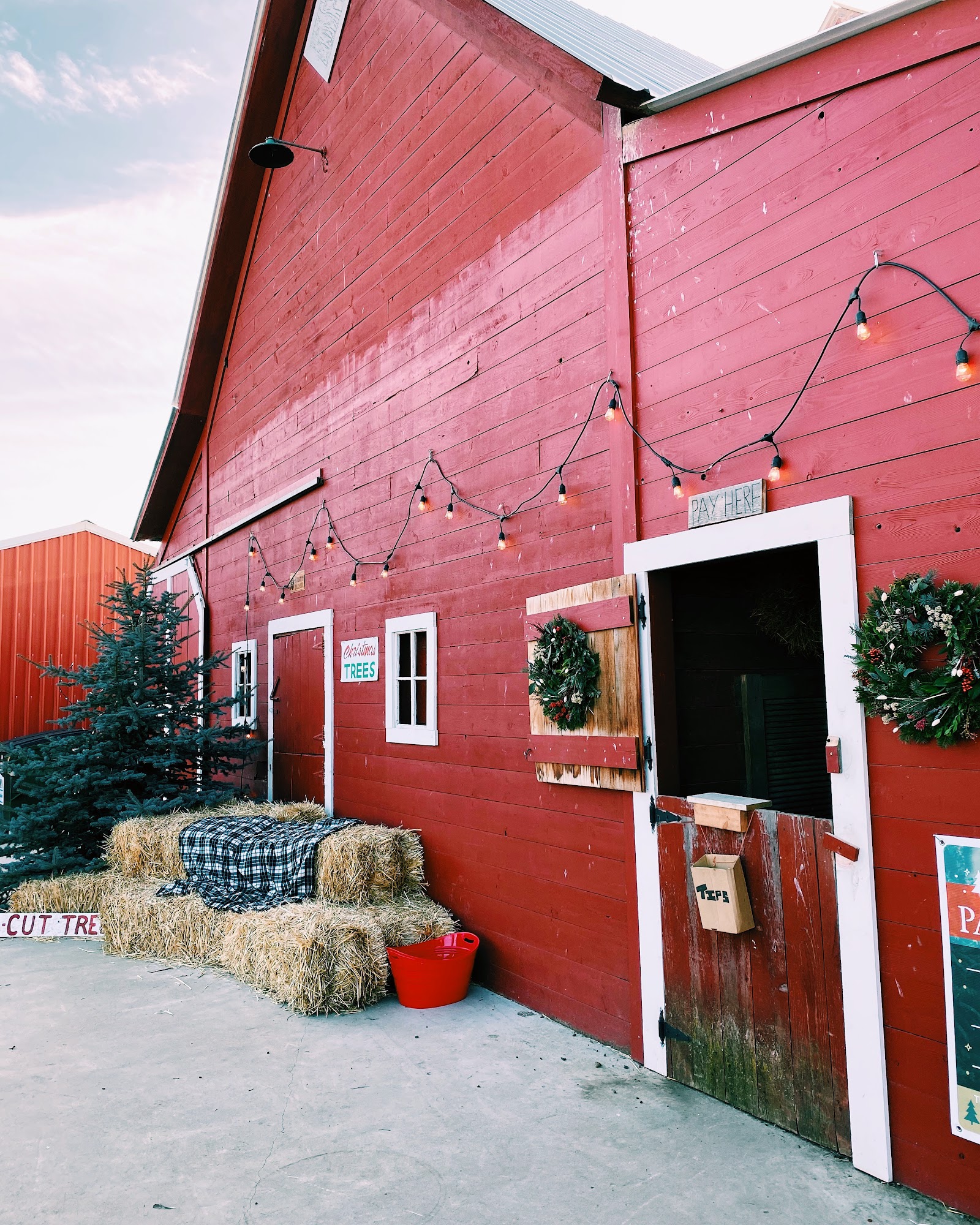 Photo of Green Bluff Tree Farm