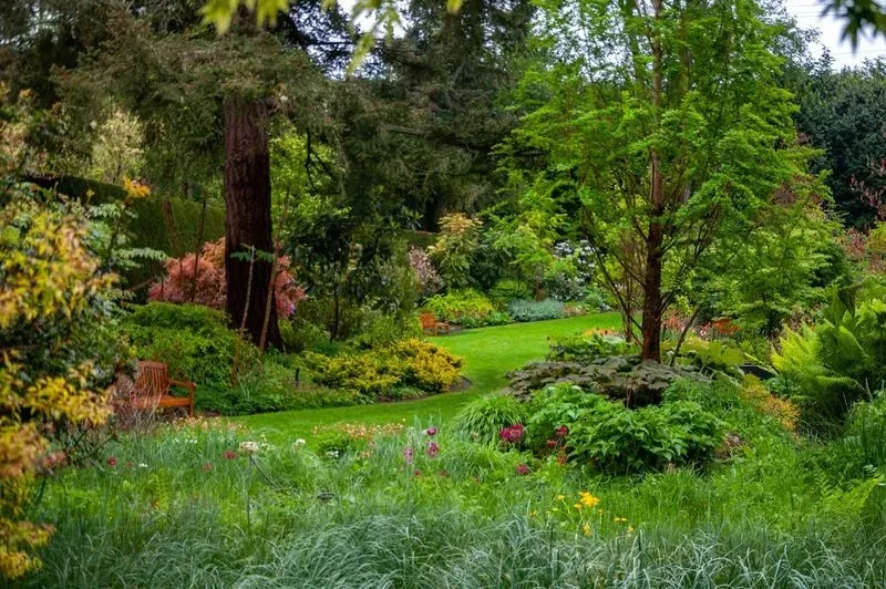 PowellsWood Garden