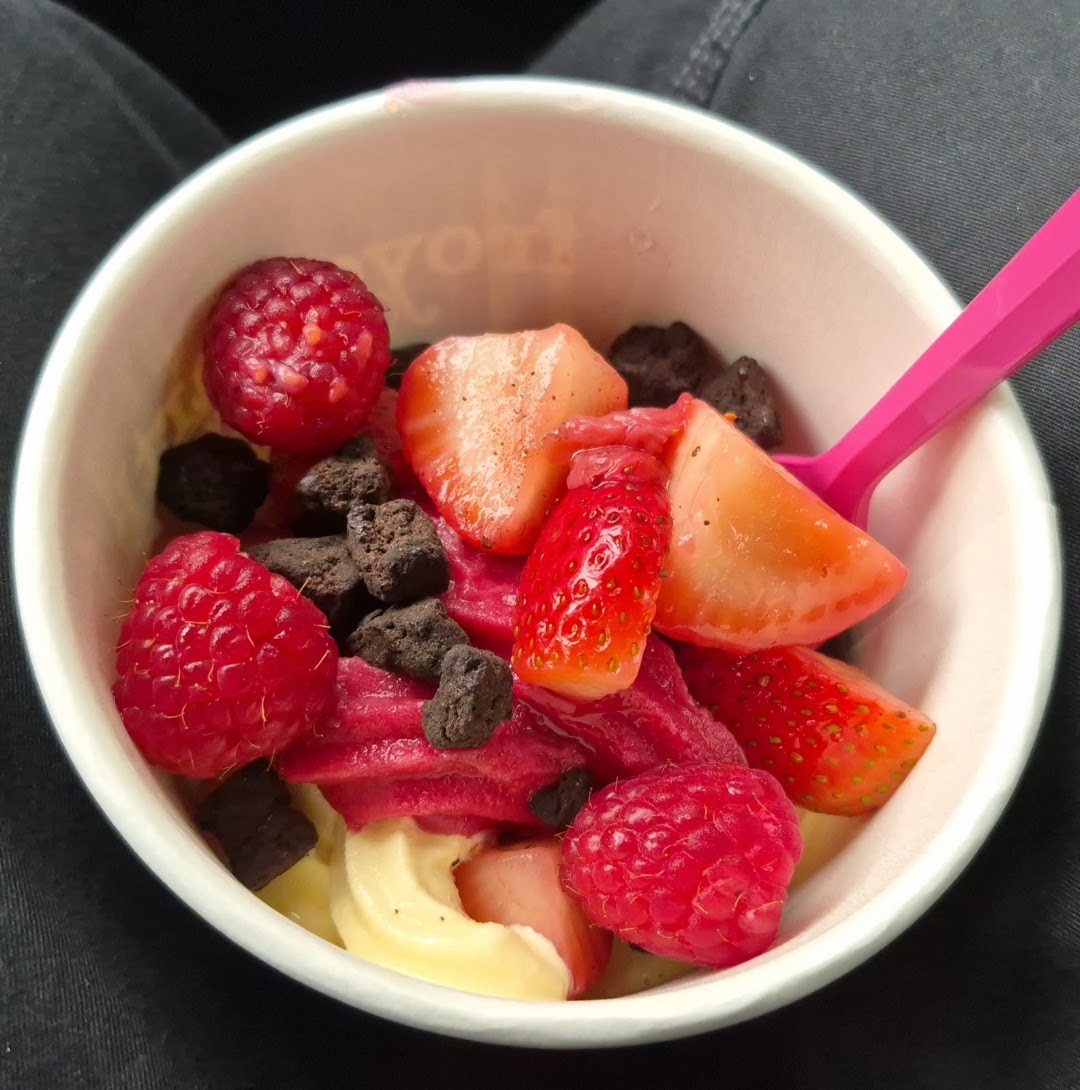 Photo of Froyo Earth