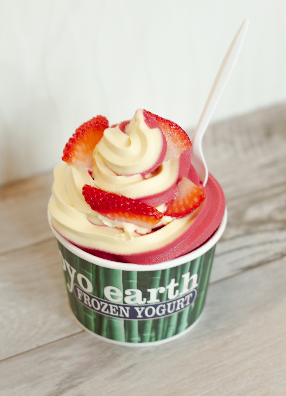 Photo of Froyo Earth