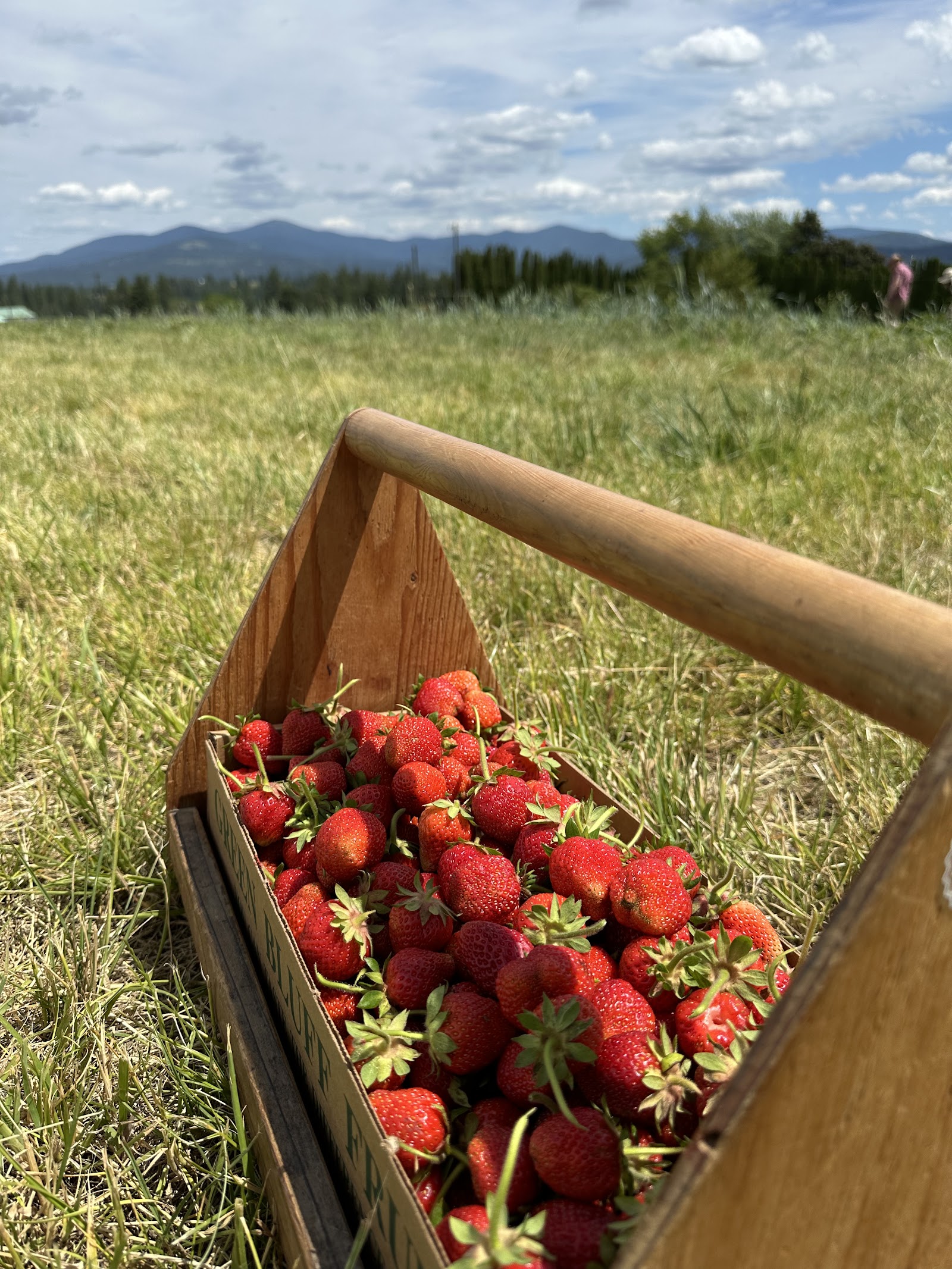 Photo of Bodacious Berries