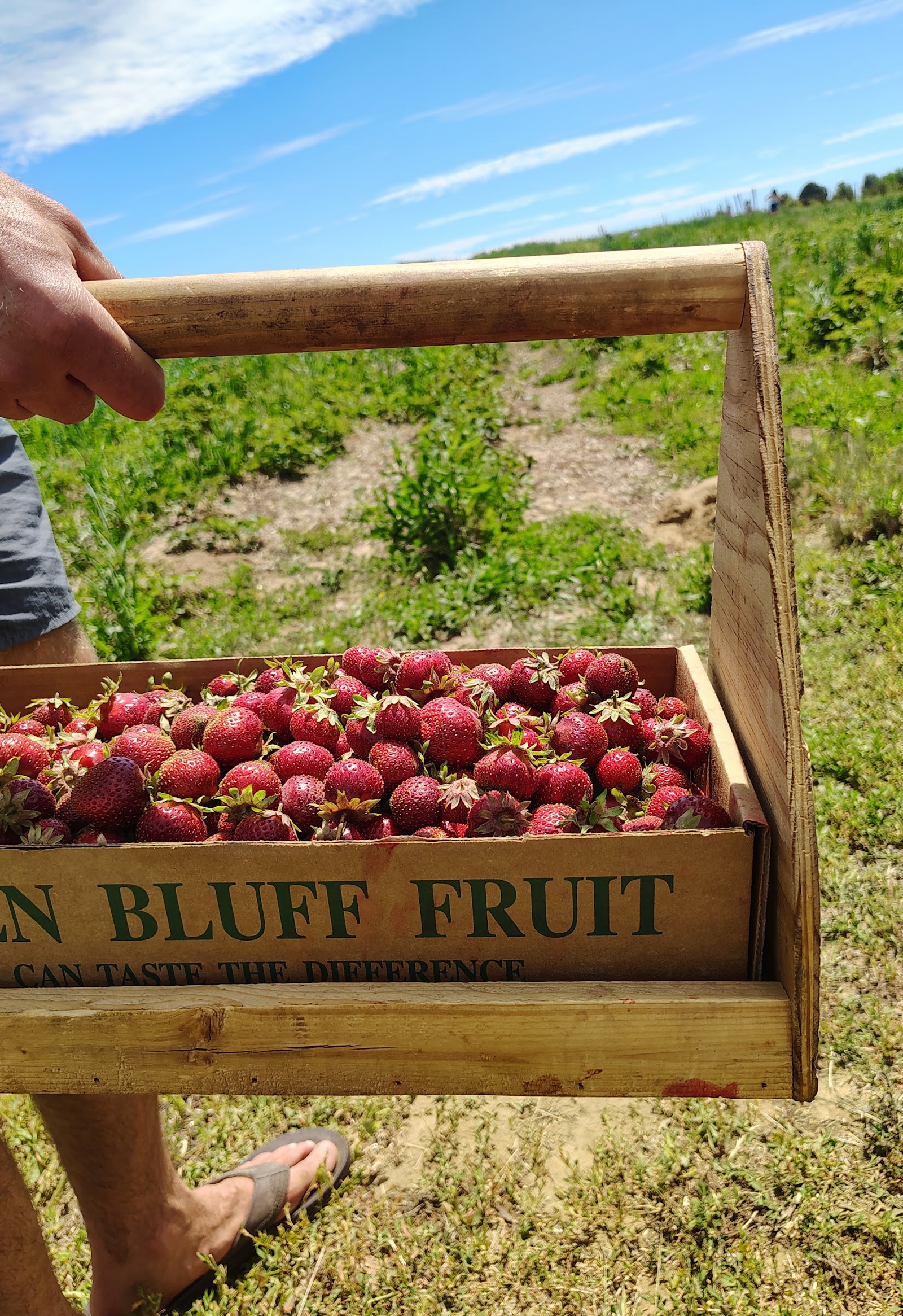 Photo of Bodacious Berries