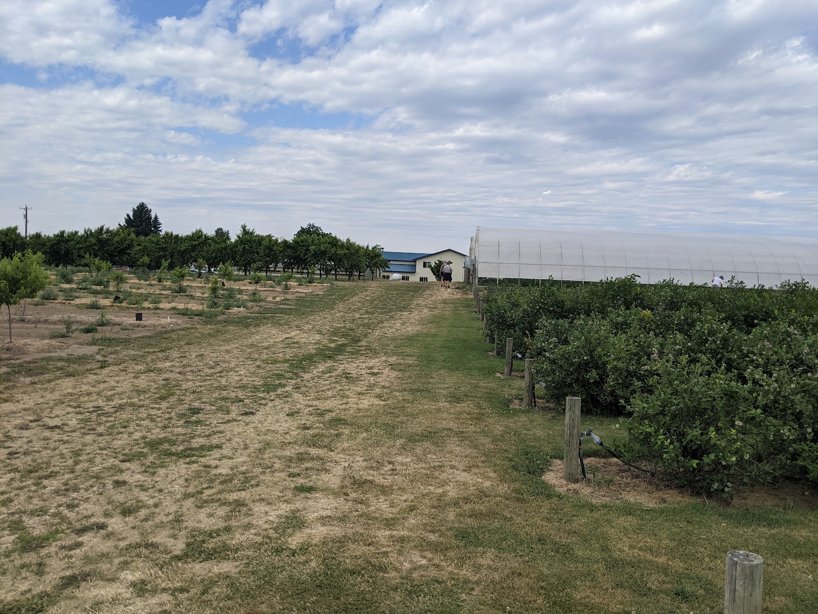 Photo of Eleven Acres Farm