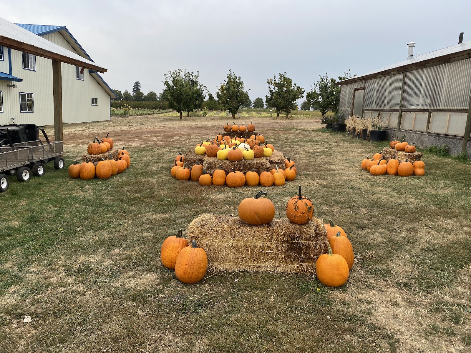Photo of Eleven Acres Farm