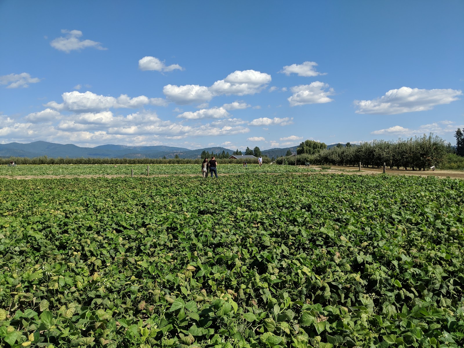 Photo of Eleven Acres Farm