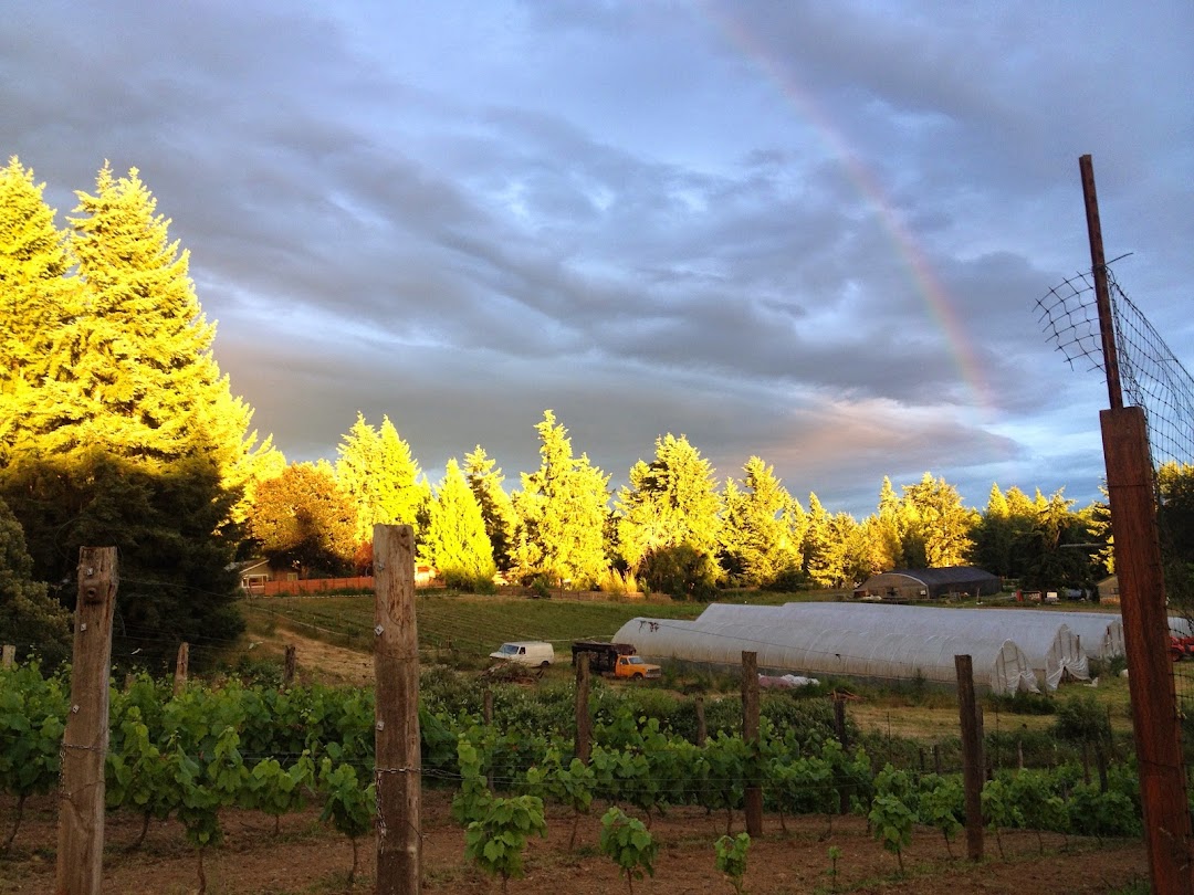Photo of Perennial Vintners
