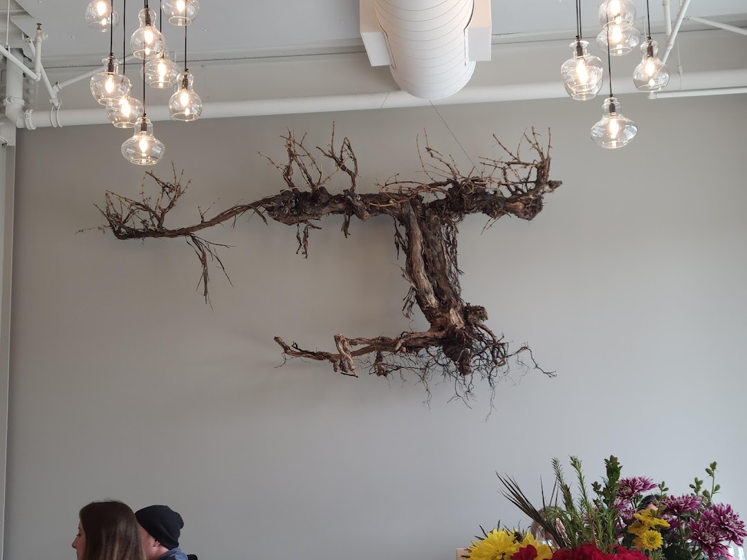 Photo of Sparkman Cellars