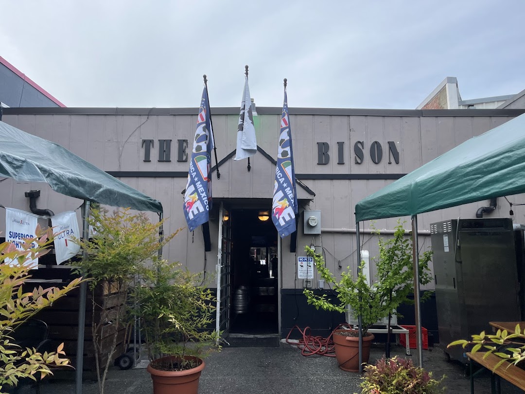 Photo of The Bison