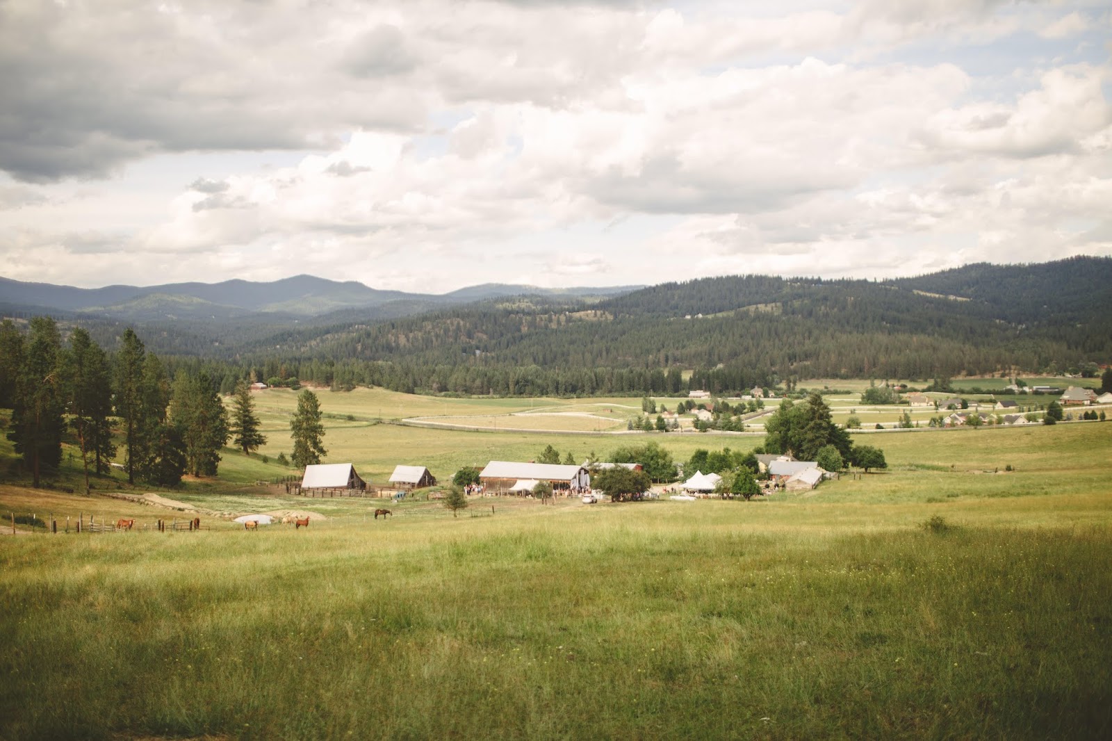 Photo of Schmidt Cattle Co.