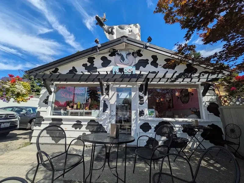 MOOO! Ice Cream Shop