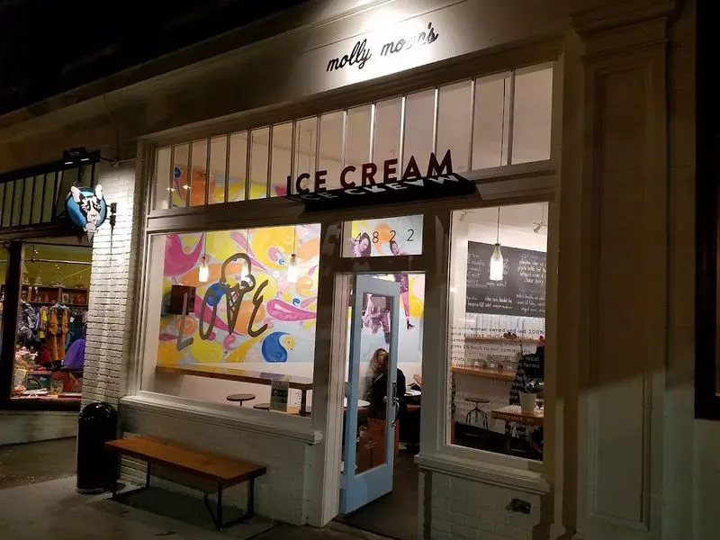 Molly Moon's Homemade Ice Cream