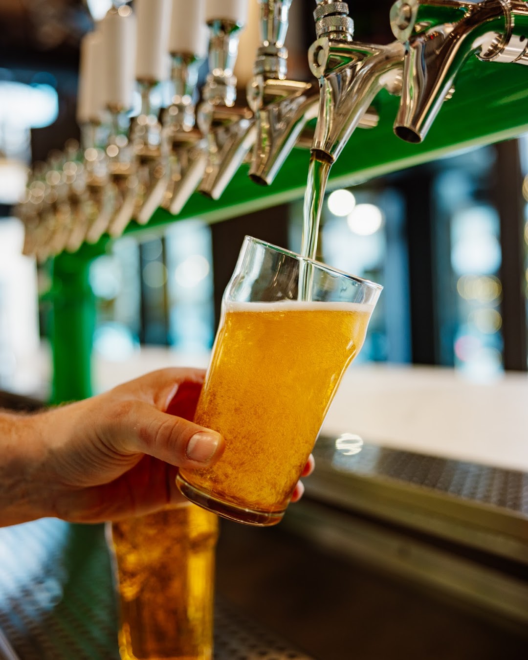 Photo of Lowlander Brewing