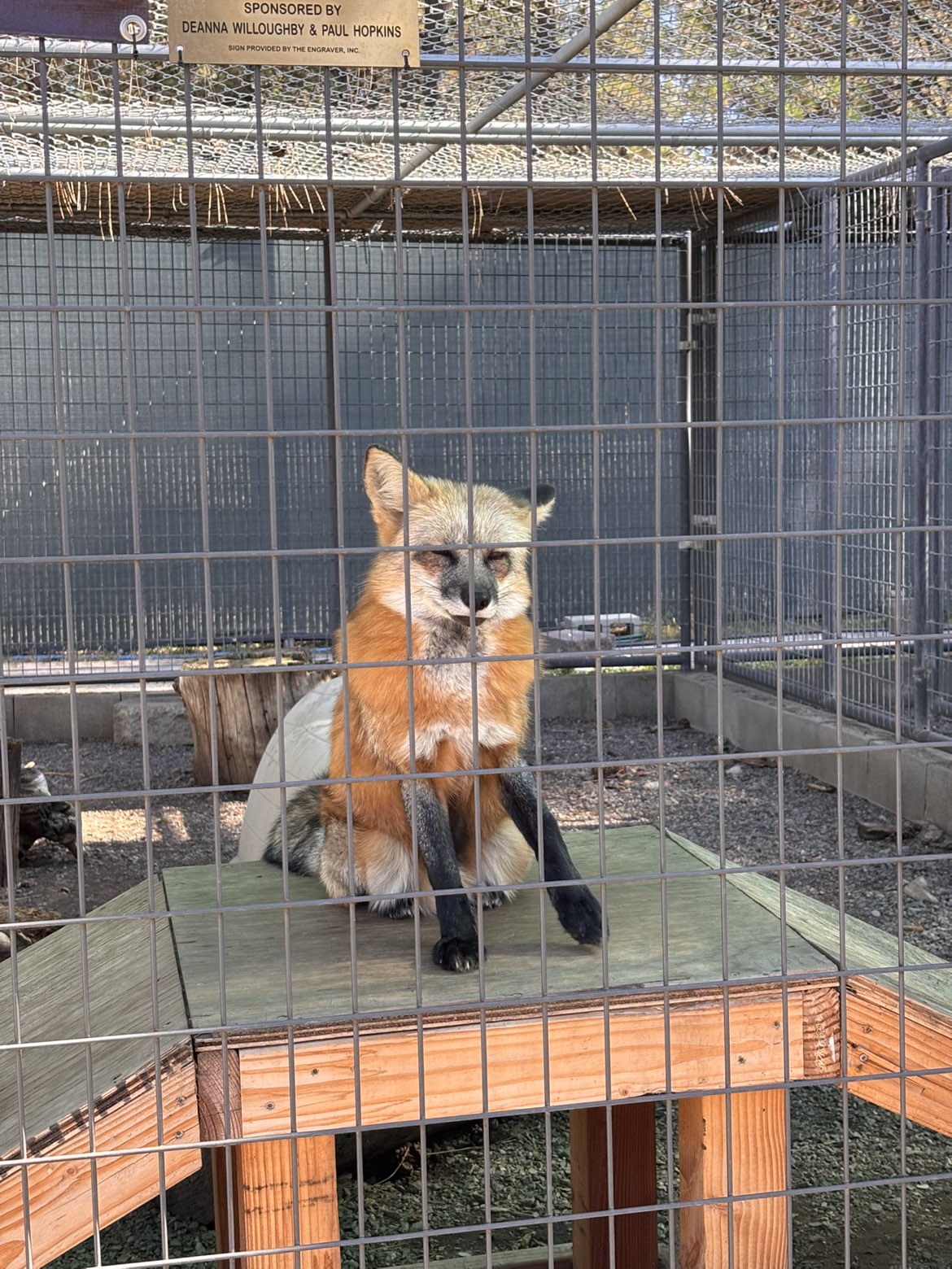 Photo of Cat Tales Wildlife Center