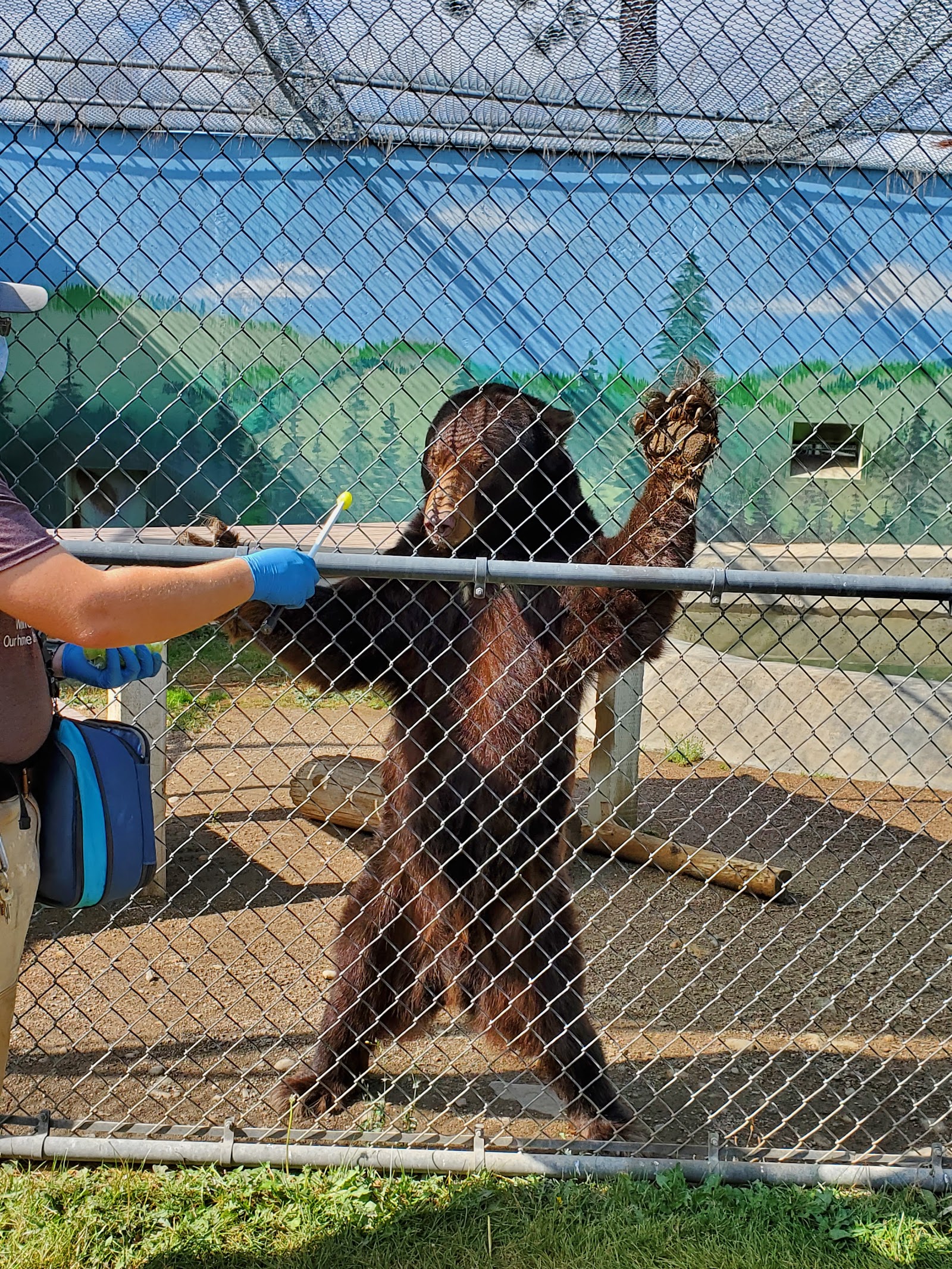 Photo of Cat Tales Wildlife Center