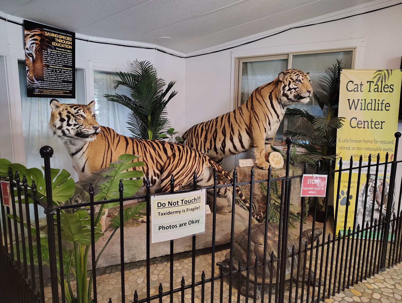 Photo of Cat Tales Wildlife Center