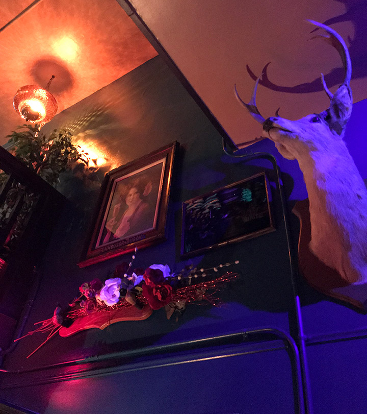 Photo of The Velvet Elk