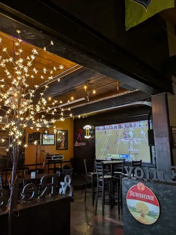 The Skål House Pub