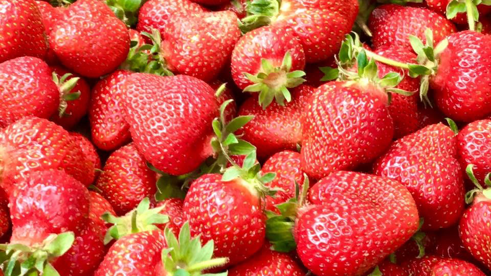 Photo of Strawberry Fields Forever
