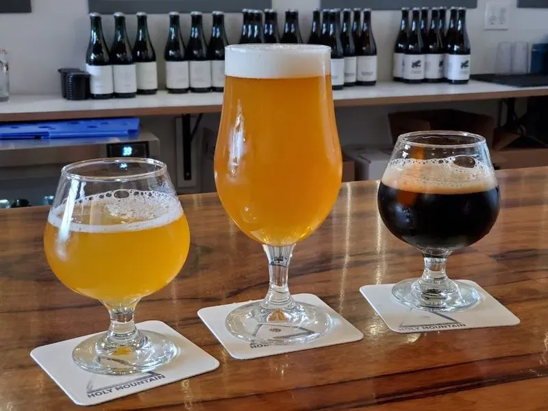 Holy Mountain Brewing Company