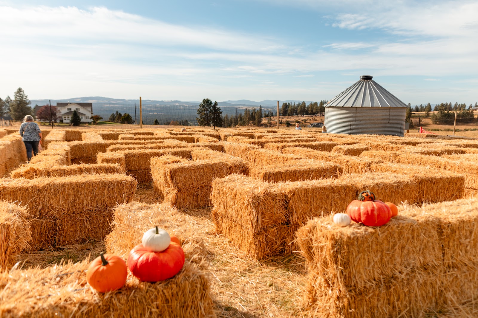 Photo of Monster Farm