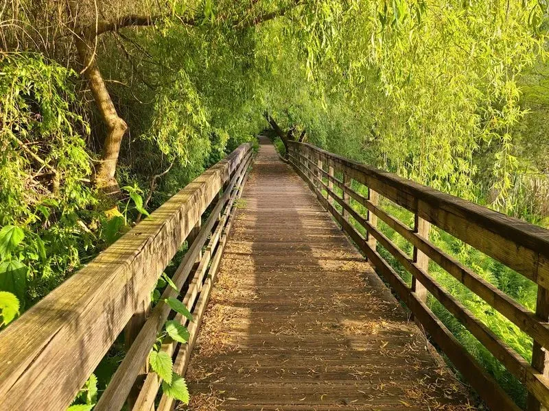 Juanita Bay Park