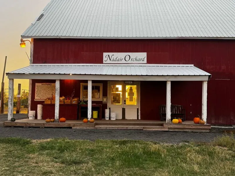 Nadair Orchard