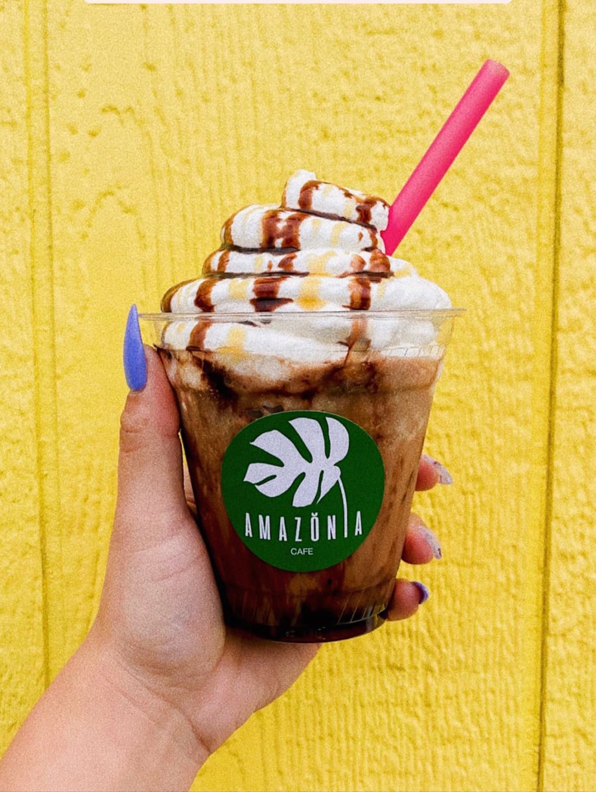 Photo of Amazonia Cafe-Fremont