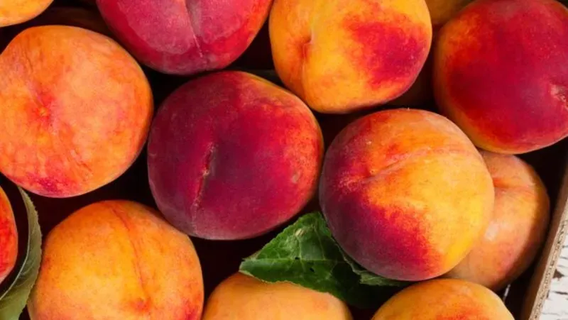 Walters' Fruit Ranch