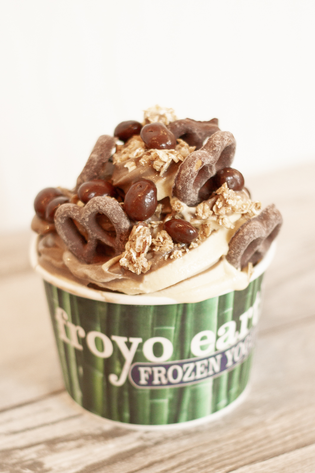 Photo of Froyo Earth