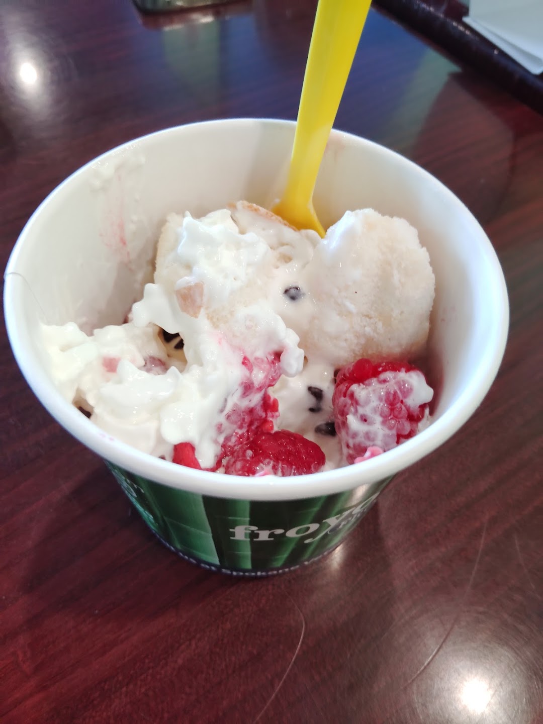 Photo of Froyo Earth