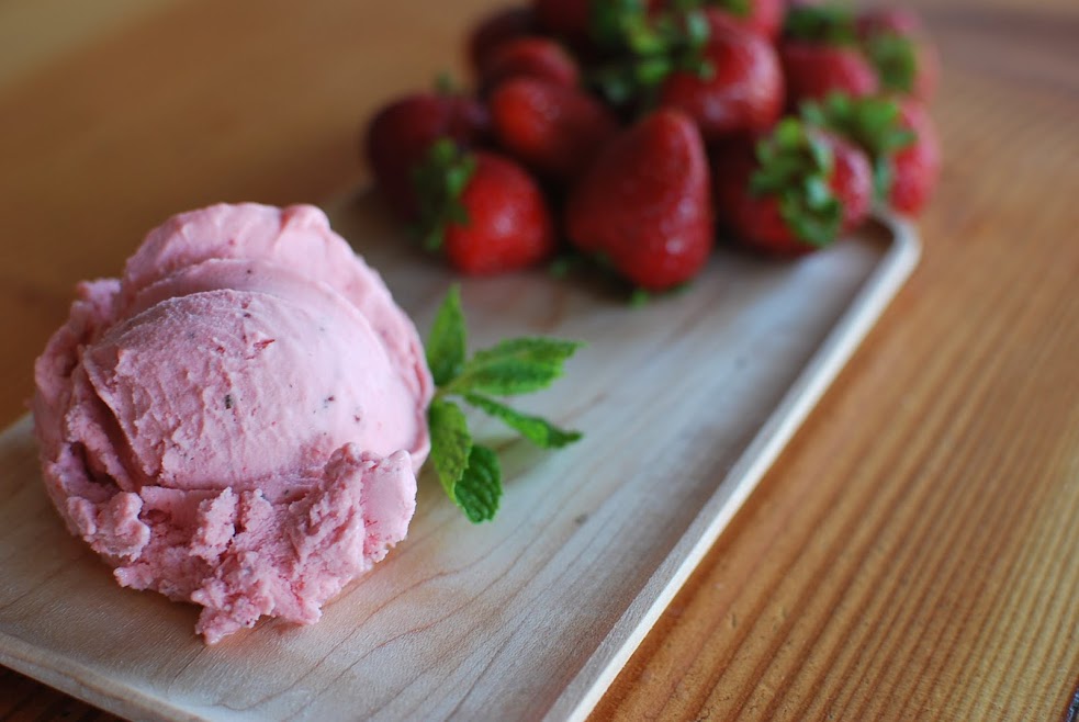 Photo of Nutty Squirrel Gelato