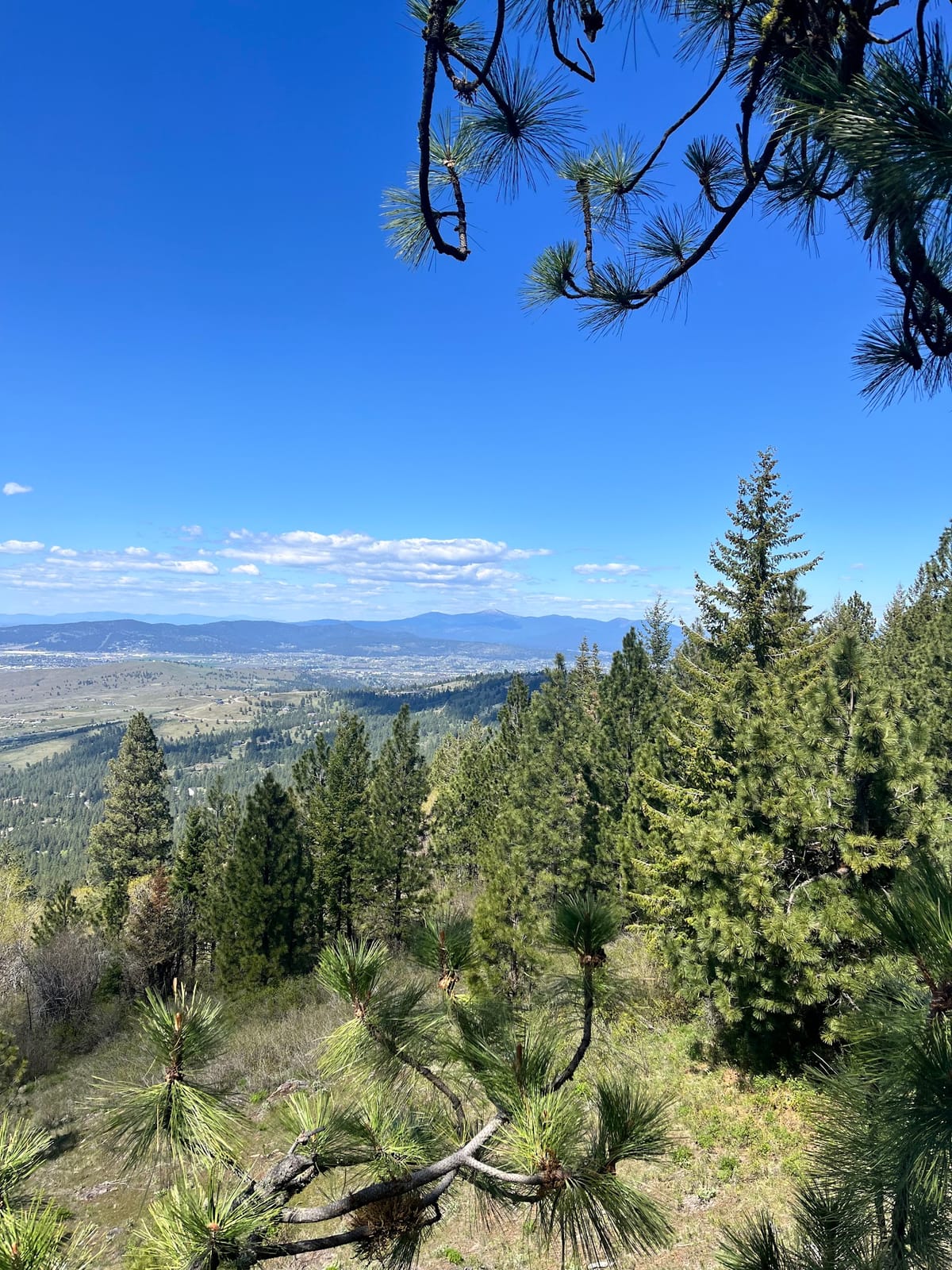 Photo of Mica Moon Zip Tours