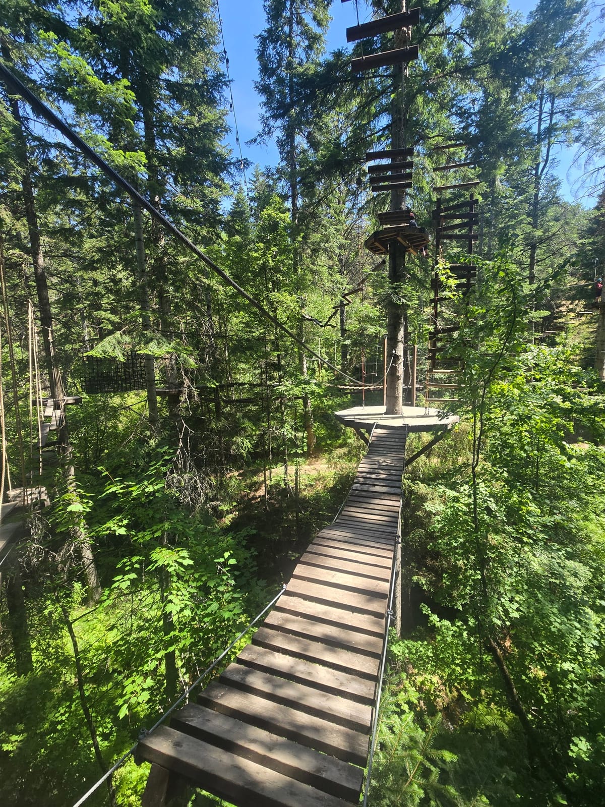Photo of Mica Moon Zip Tours