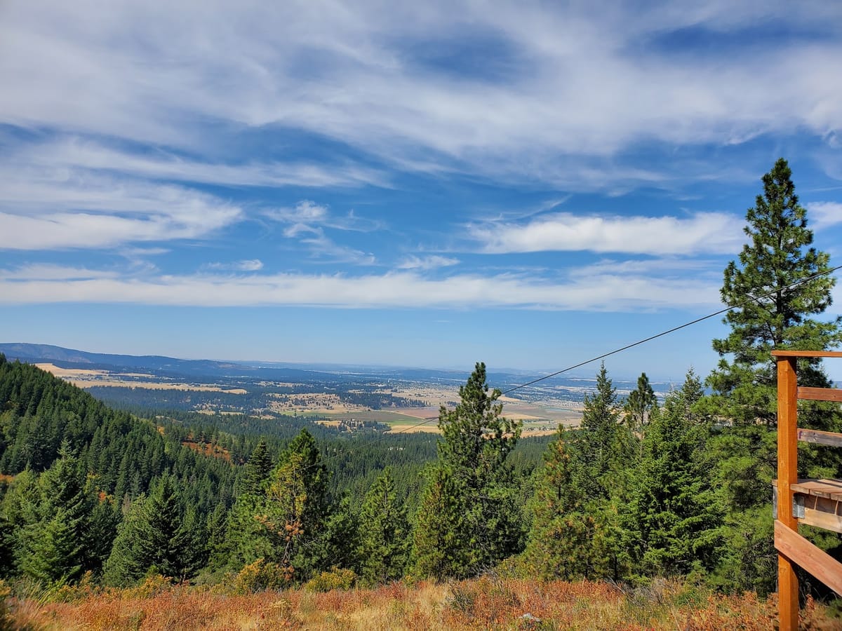 Photo of Mica Moon Zip Tours