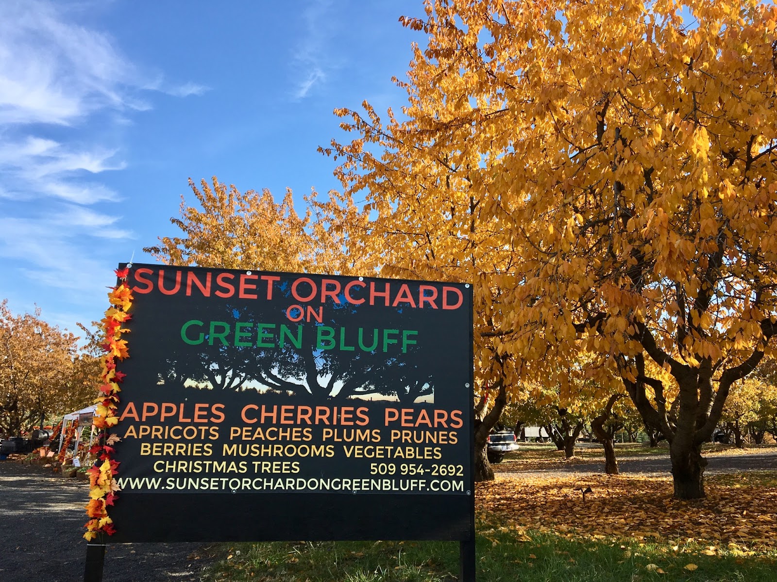 Photo of Sunset Orchard on Green Bluff