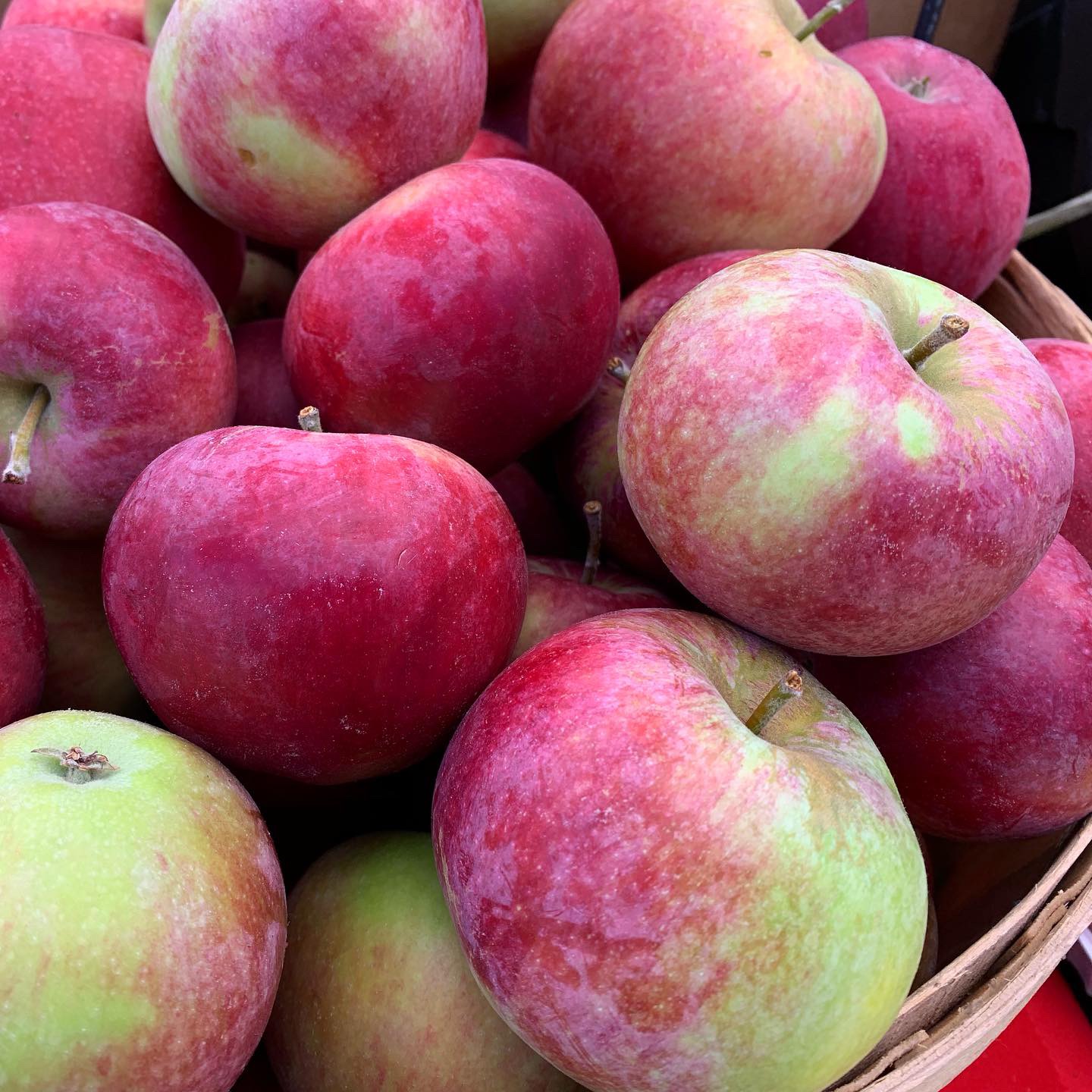 Photo of Sunset Orchard on Green Bluff