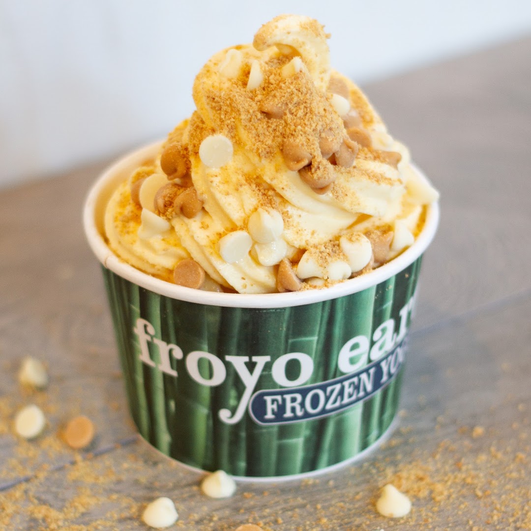 Photo of Froyo Earth
