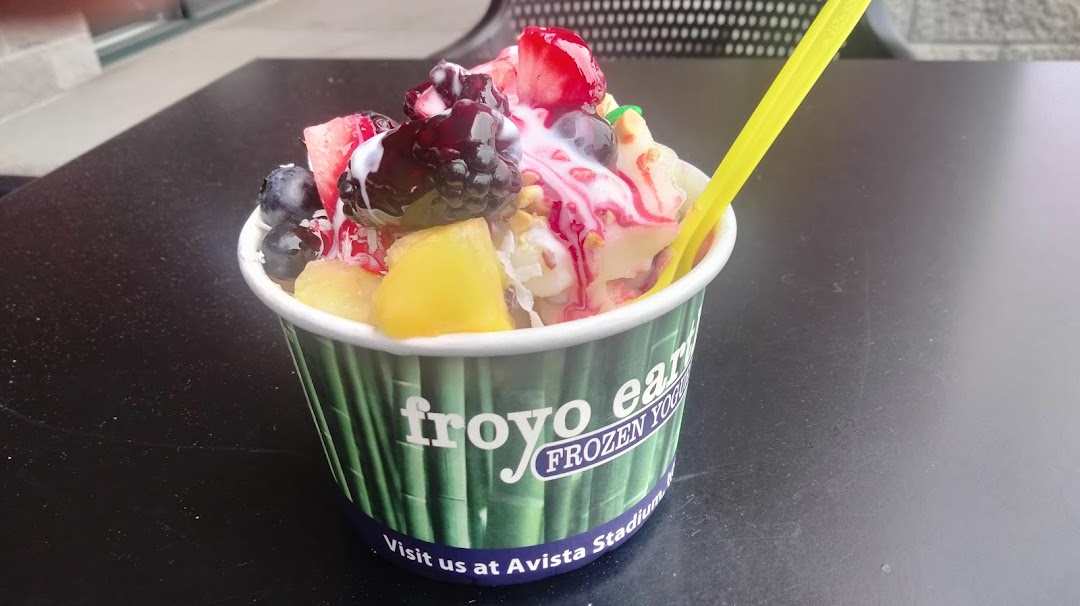 Photo of Froyo Earth