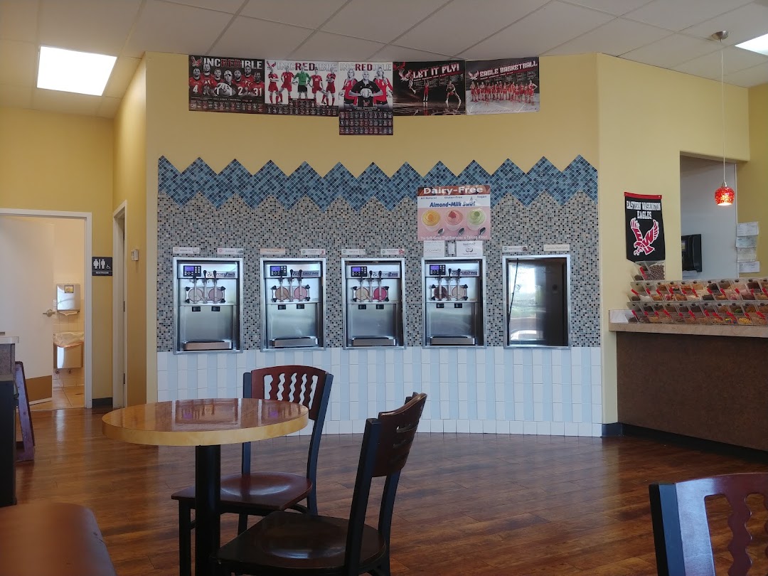 Photo of Froyo Earth