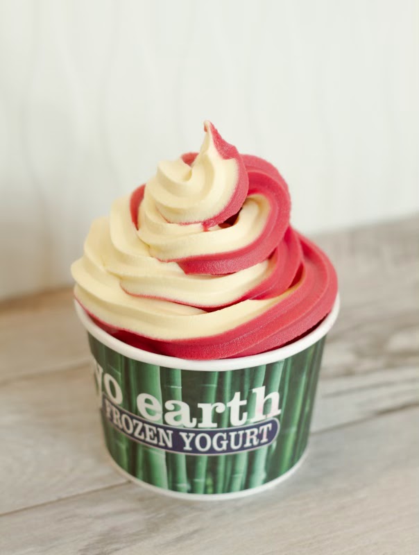 Photo of Froyo Earth