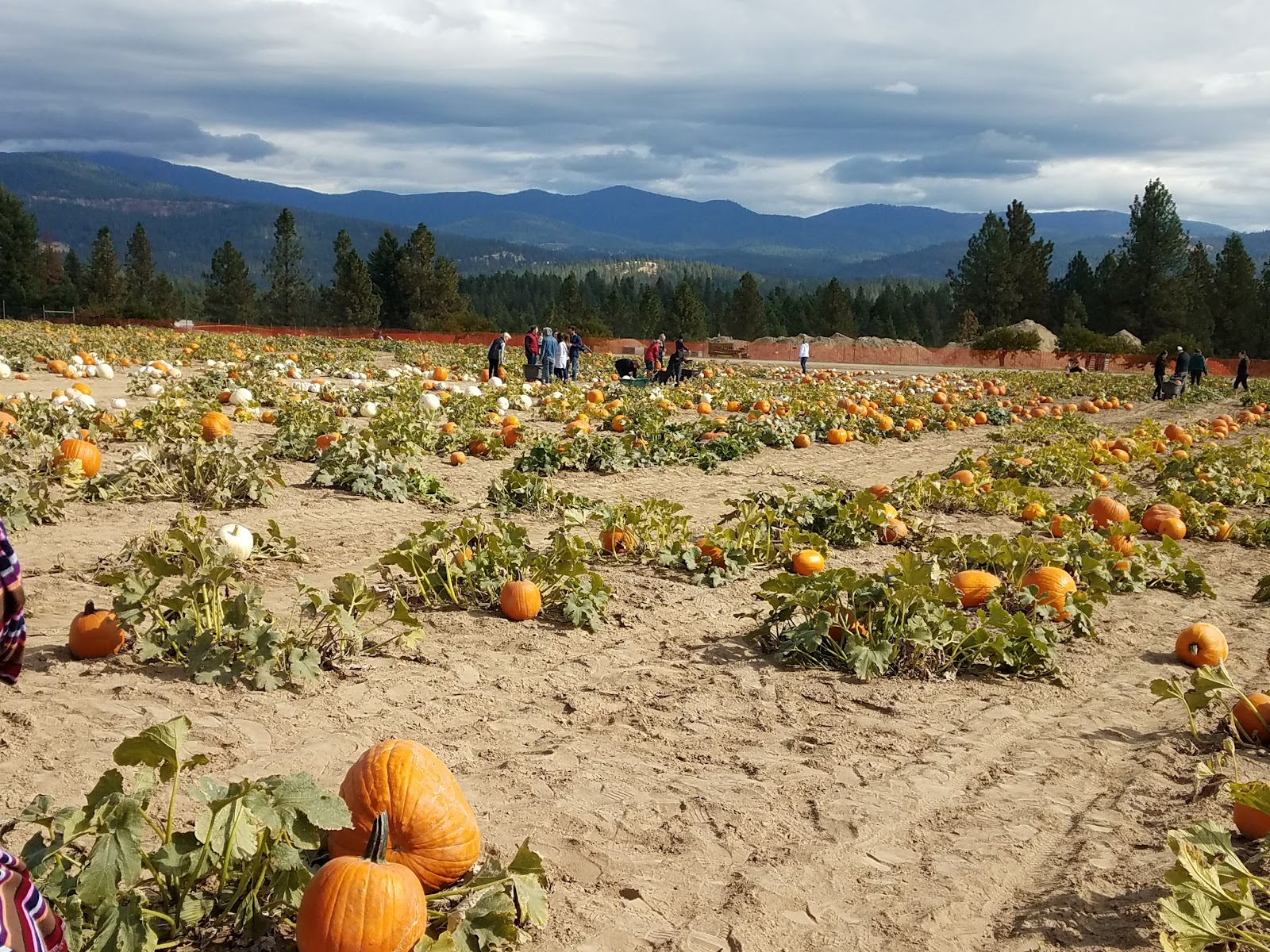 Photo of Siemers Farm