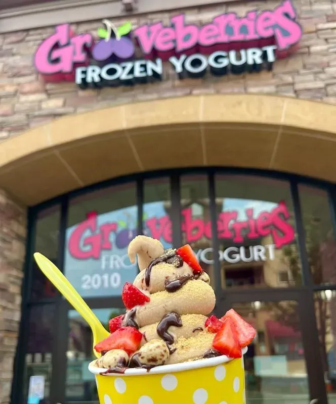 Grooveberries Frozen Yogurt